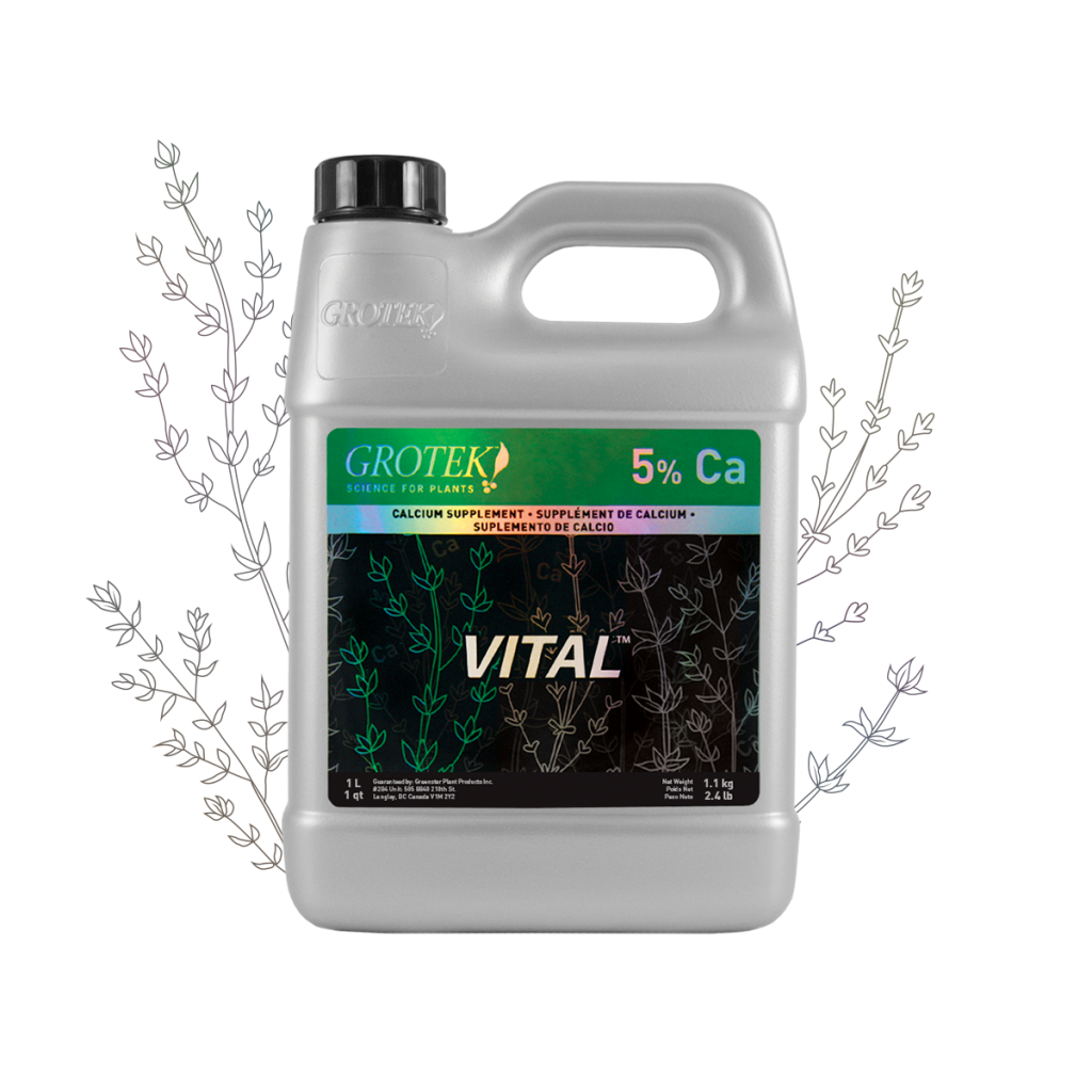 Vital™