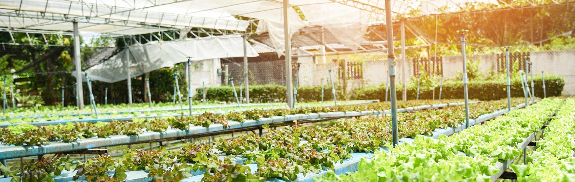 Grow facility interior