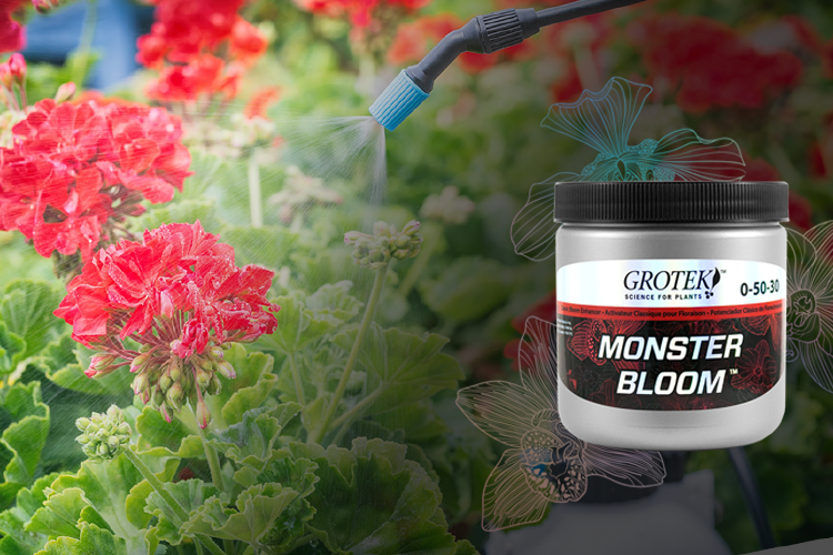 grotek-product-feature-500w-r1monster-bloom