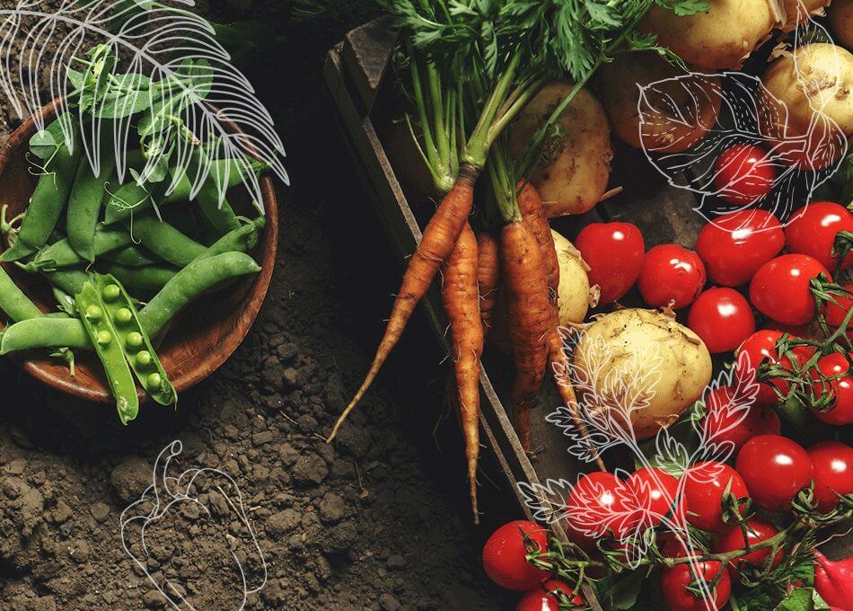 Close-up of fresh, vibrant vegetables growing in nutrient-rich soil. Includes carrots, tomatoes, onions, and pea pods.