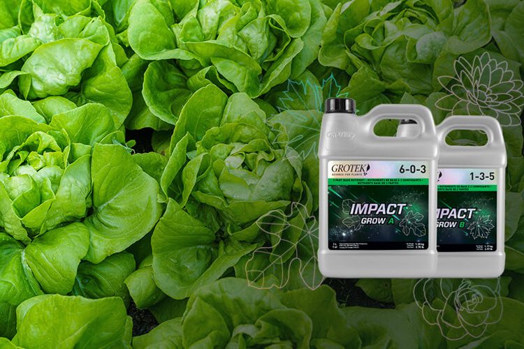 grotek-product-feature-500w-r1-impact-grow